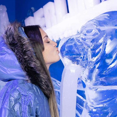 A girl kissing an ice sculpture of a walrus in the Berlin Icebar. 